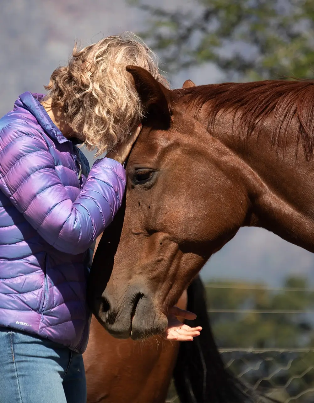 Bio-Energy Healing & Clearing