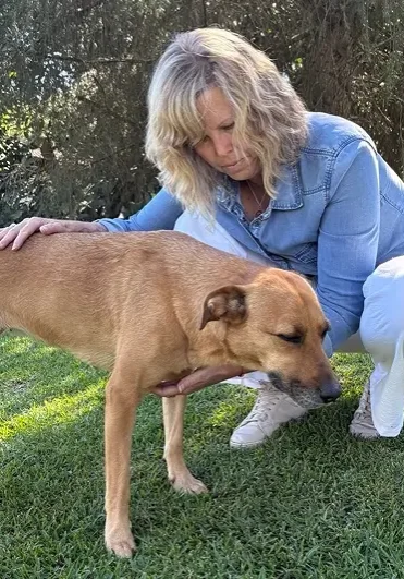 Mel van Biljon animal communication